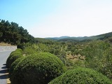 ryojyun (68)