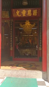 YGN (3)