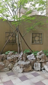 IMG_20170622_100036