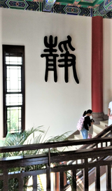 yang (3)