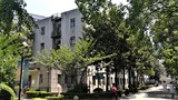 yi (11)