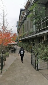 IMG_20171214_160825