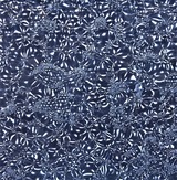 B-GLASS+ (11)