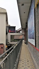 M50 (1)