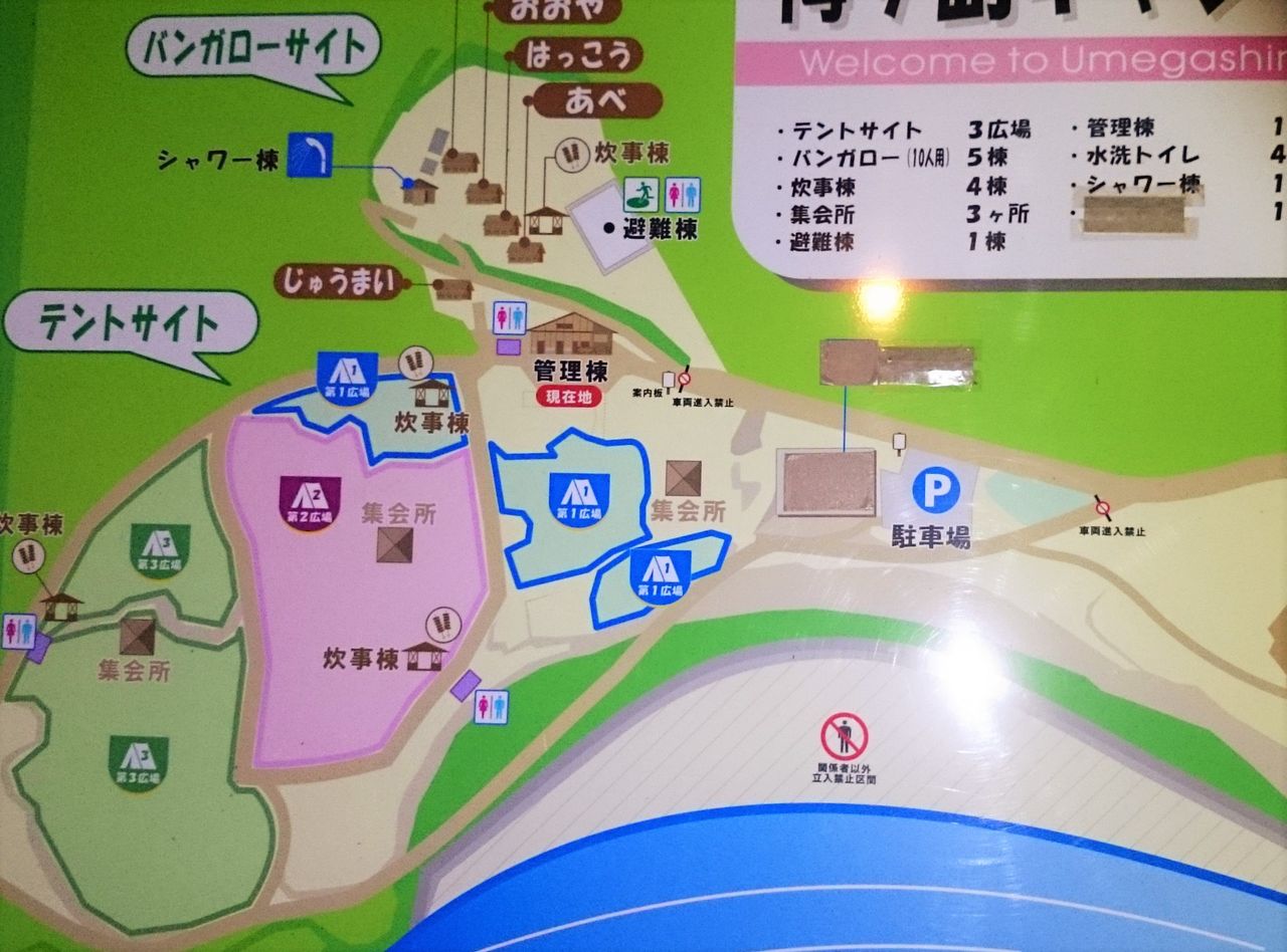 キャンプ場情報 静岡市梅ヶ島キャンプ場 静岡 ファミリーキャンプstartup キャンプ場情報 静岡市梅ヶ島キャンプ場 静岡 ファミリーキャンプstartup