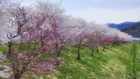 gal3_123544a
