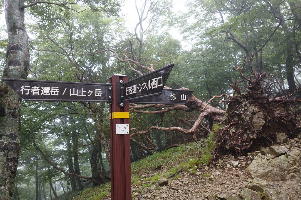 イメージ 9