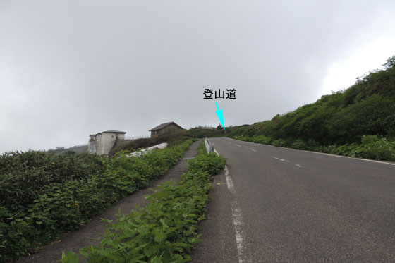 イメージ 11