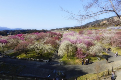 dscn0321a