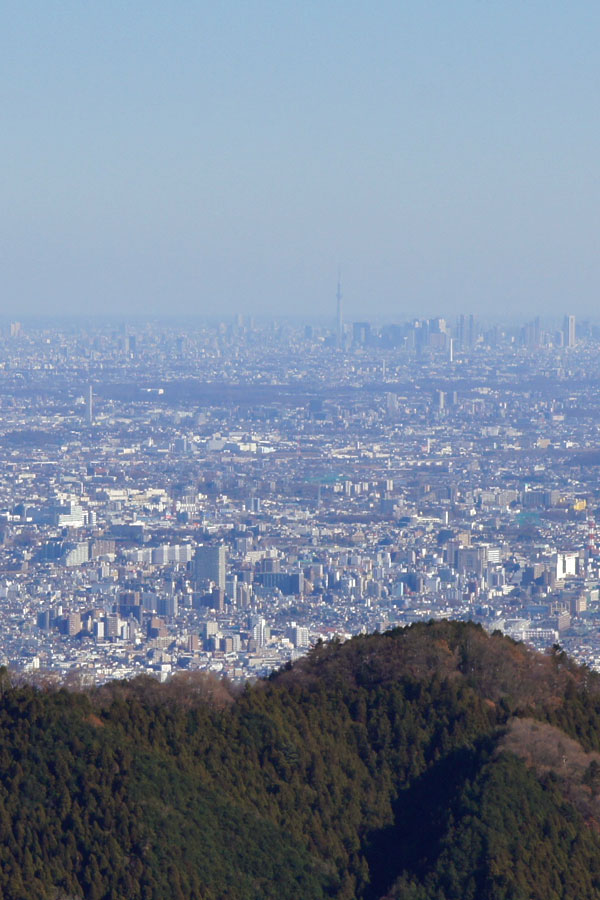 イメージ 7