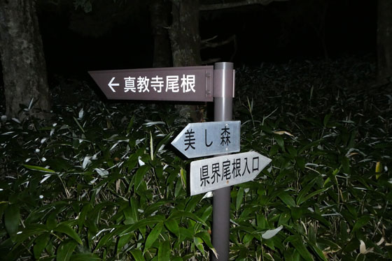イメージ 8