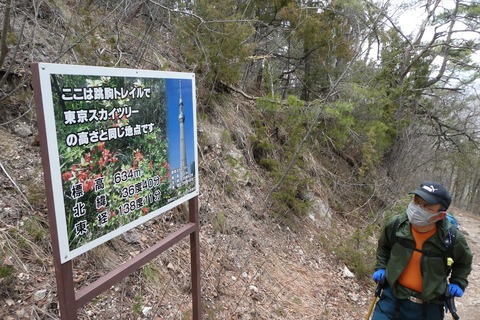 p1100131