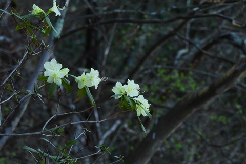dscn0748
