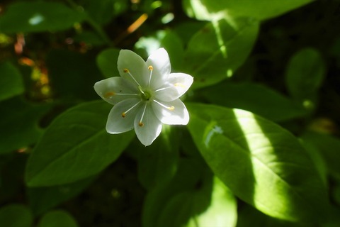 dscn1554