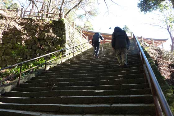 イメージ 13