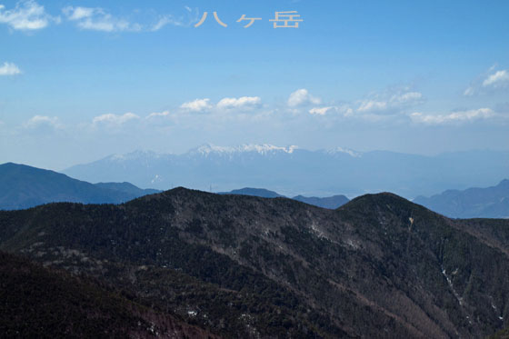 イメージ 39