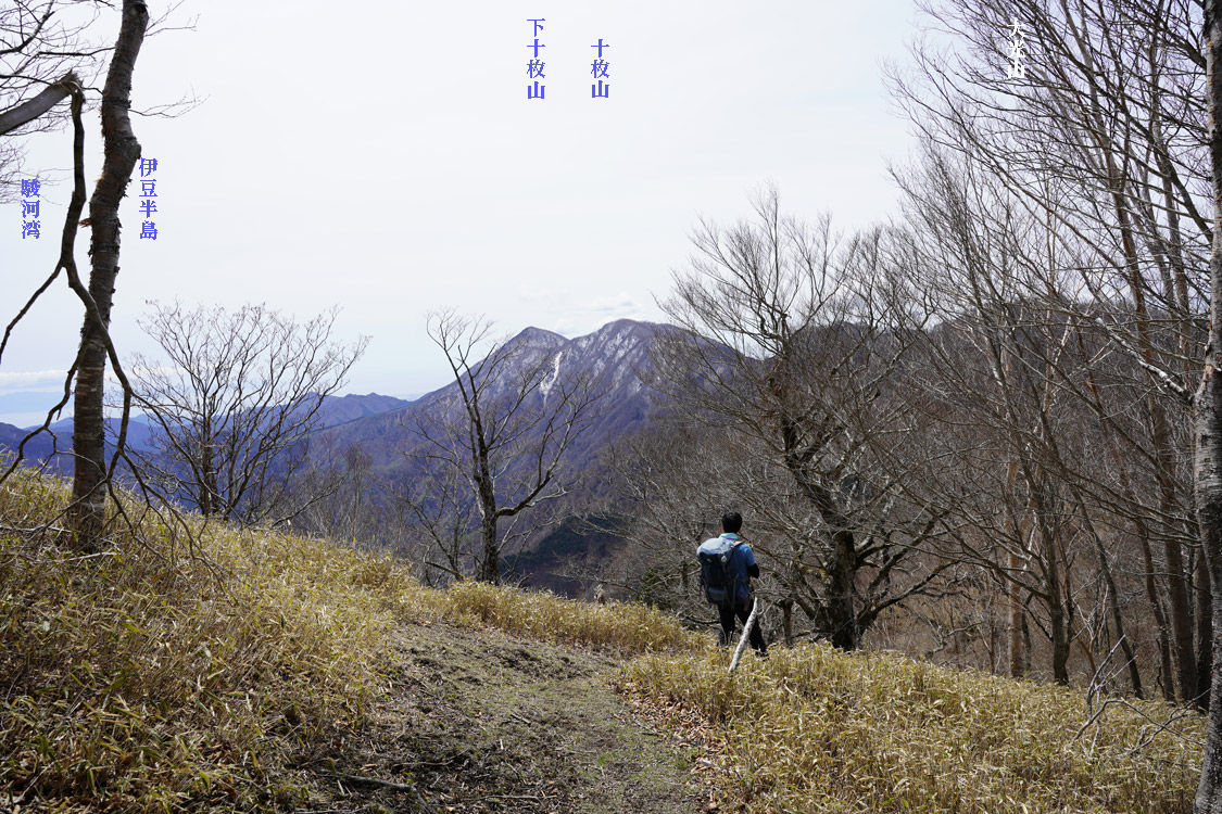 イメージ 4