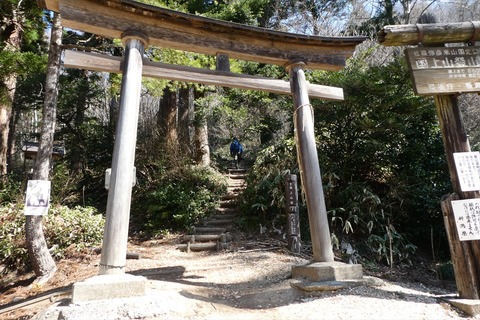 p1100171