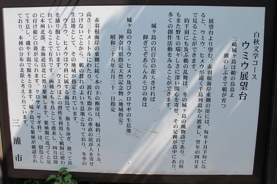 イメージ 11