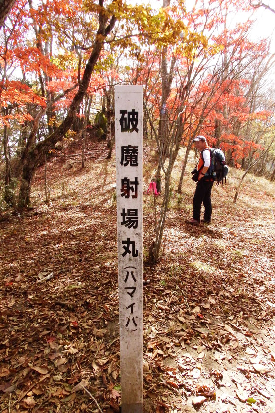 イメージ 34