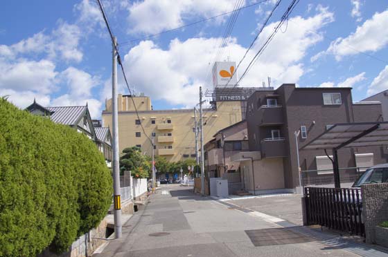 イメージ 11