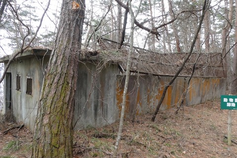p1100138