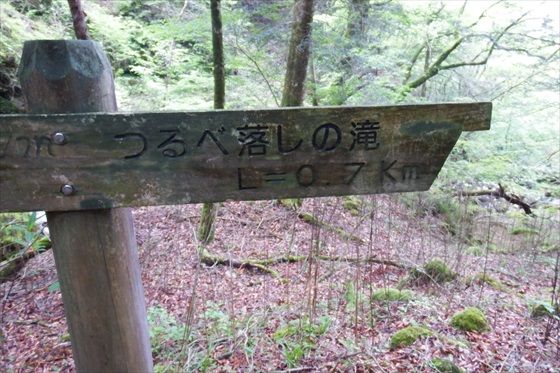 イメージ 39