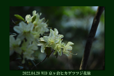 kyougakutop