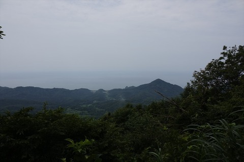 yoneya1743
