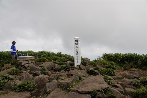 nlj3091