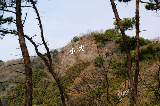 イメージ 6