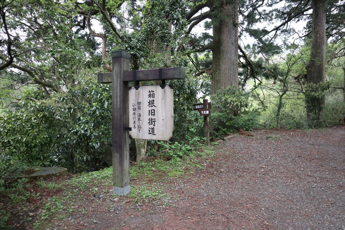 イメージ 10