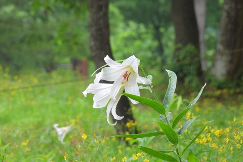dscn2235
