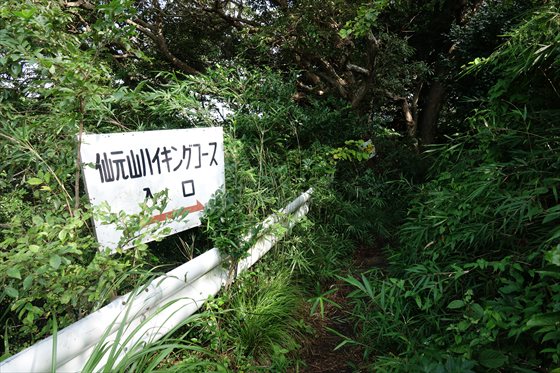 イメージ 10