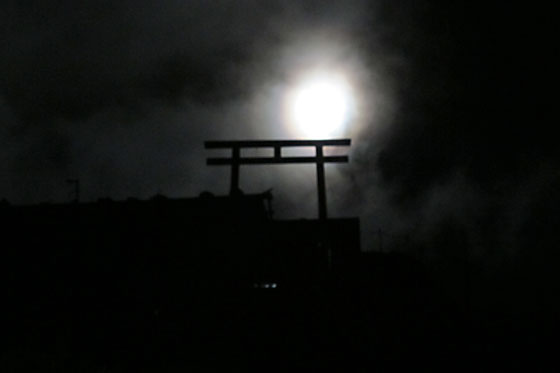 イメージ 10