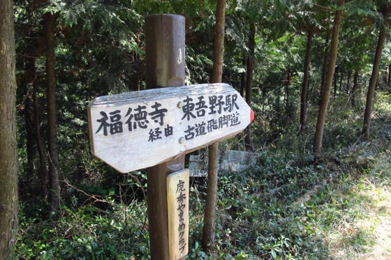 イメージ 11