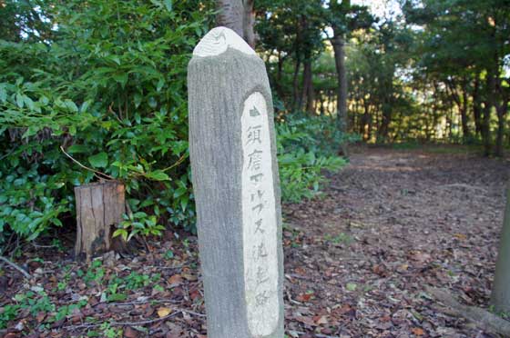 イメージ 24