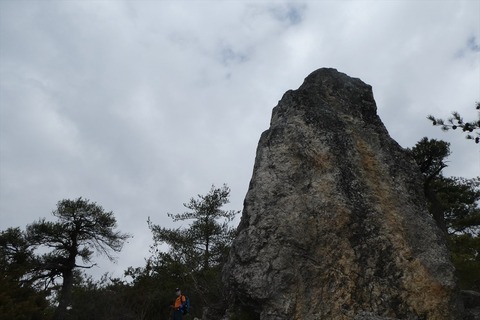 p1100156