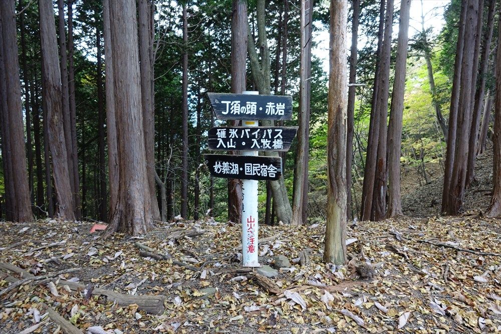 イメージ 51