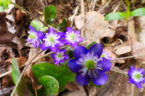 dscn0649