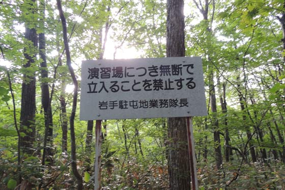 イメージ 12