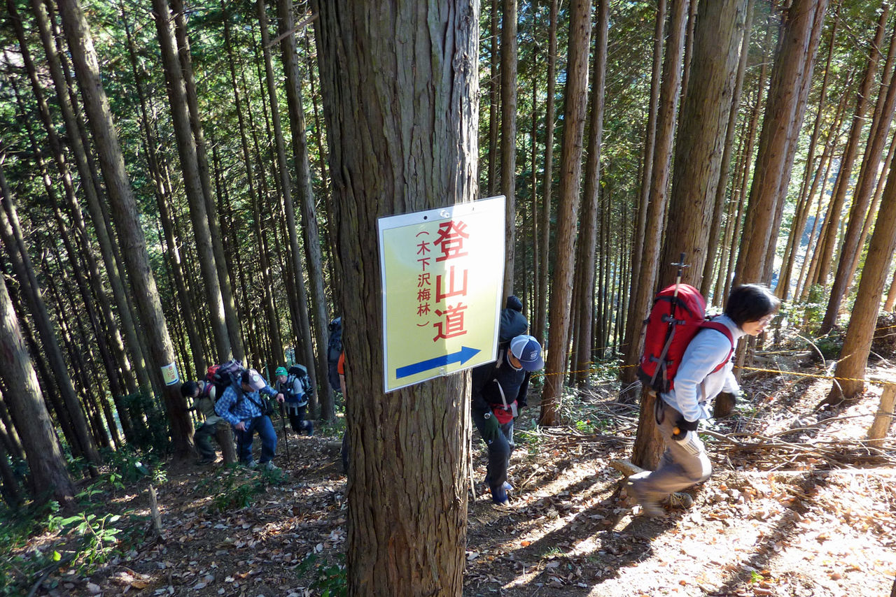 イメージ 16