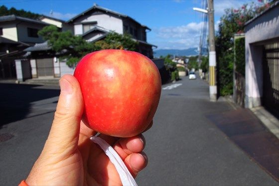 イメージ 29
