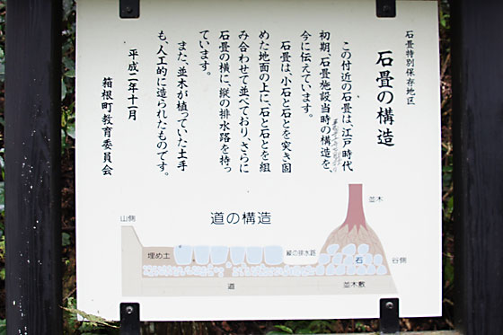 イメージ 13