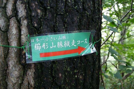 イメージ 9