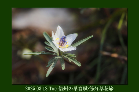 setubunsou250318top