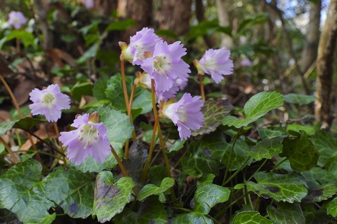 dscn0244