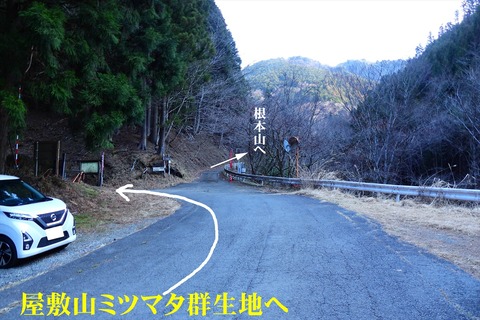 dscn5229