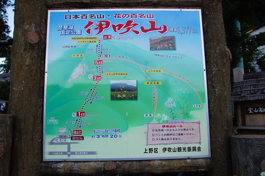イメージ 4