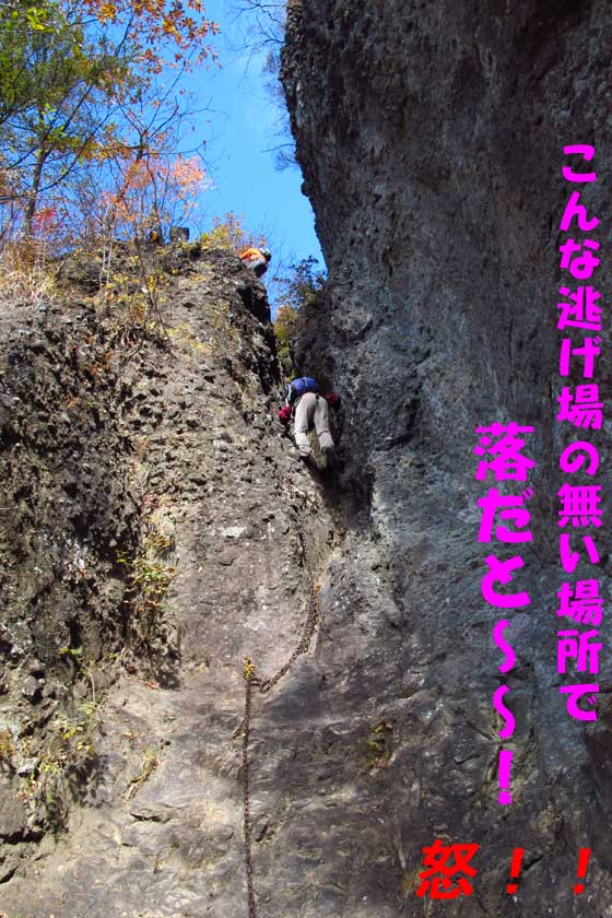 イメージ 5